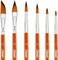 Watercolor Brushes Professional 6PCS Watercolor Paint Brushes for Painting, Cat's Tongue Oval Wash Paint Brush, Dagger, Round Pointed Watercolor Brush for Water Color Acrylics Gouache Ink